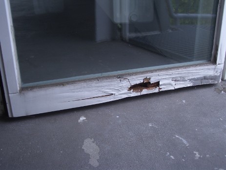 Das Unterstück eines Holzfensters ist angefault. Der Lack kann das Holz nicht mehr schützen.